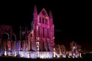 whitby abbey goth festival 7.jpg